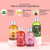 Shower of Delight (Pack of 4) Bryan & Candy