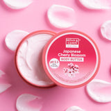 Cherry Blossom Body Butter pH 5.5  Light Weight Moisturizer for Women & Men (200gm) Bryan & Candy