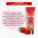 Strawberry Lotion Bryan & Candy